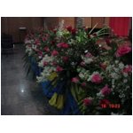 DSC00130.JPG