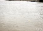 IMG 8410