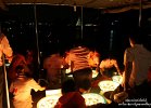 IMG 8470